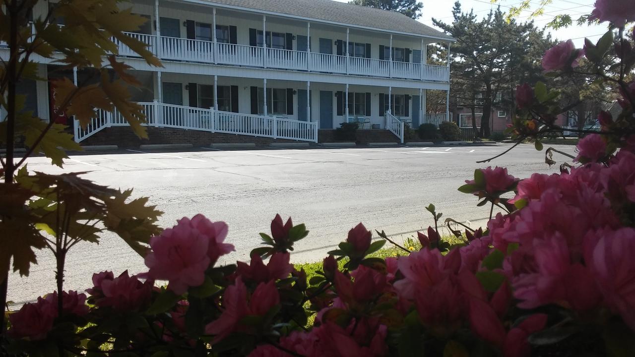 Sea Shell Motel Chincoteague Exterior foto